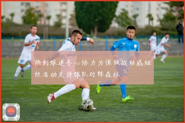 热刺球迷齐心协力为保级战助威组织活动支持球队对阵森林