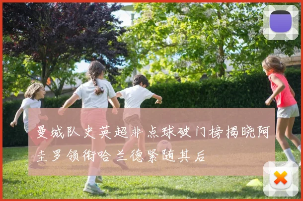 曼城队史英超非点球破门榜揭晓阿圭罗领衔哈兰德紧随其后