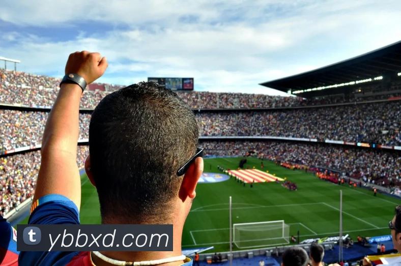 安博app官网登录入口平台生态图